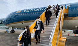 Hơn 300 công dân Việt Nam ở châu Âu, châu Phi trở về nước an toàn