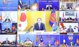 Nhật Bản đóng góp 1 triệu USD cho Quỹ ASEAN ứng phó COVID-19