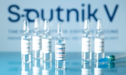 1.000 liều vắc-xin Sputnik V của Nga đã về đến Việt Nam