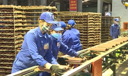 Hơn 5 triệu lao động bị ảnh hưởng do COVID-19