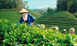 Chương trình hành động quốc gia về sản xuất và tiêu dùng bền vững