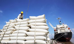Thành lập Hội đồng thẩm định nhiệm vụ lập Quy hoạch hệ thống kho dự trữ quốc gia 2021-2030