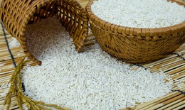 Dược thiện quý từ gạo nếp