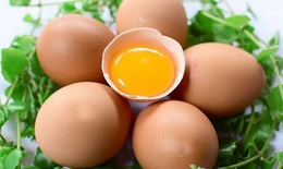 Dược thiện từ trứng gà bổ huyết dưỡng tâm an thần