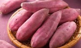 Món ăn thuốc từ khoai lang
