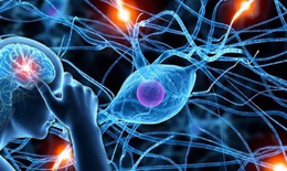 Phát hiện rối loạn thoái hóa thần kinh mới