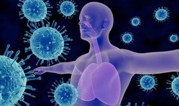 Miễn dịch chéo ngăn ngừa nhiễm COVID-19