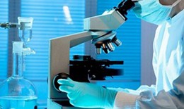 Tìm thấy kháng thể SARS-CoV-2 trong sữa mẹ