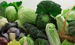 8 cách cải thiện sức khỏe đường ruột