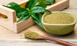 Nghiên cứu dược lý trên thực nghiệm của xuyên tâm liên