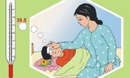 Trẻ sốt, cẩn trọng với viêm não Nhật Bản và cách phát hiện sớm