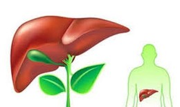 6 món ăn thuốc giải độc gan