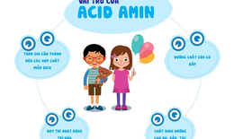 Acid amin rất quan trọng với sự ph&#225;t triển của trẻ em - v&#236; sao?