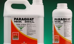 Cảnh báo chiêu lừa mua thảo dược chữa ngộ độc thuốc diệt cỏ Paraquat