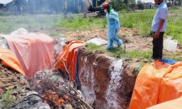 Phát hiện và tiêu hủy hơn 4 tấn thịt lợn nhiễm dịch tả lợn Châu Phi trong kho cấp đông của một hộ dân