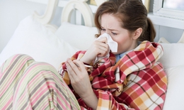 Tại sao lại lựa chọn kháng thể IgY để phòng ngừa cúm?