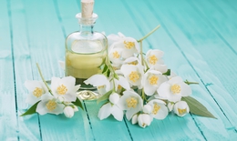 Lợi ích sức khỏe của tinh dầu hoa nhài