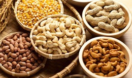 Ăn các loại hạt hàng ngày giúp giảm nguy cơ bệnh tật