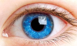 Nhìn màu sắc mắt có thể đoán được tài năng