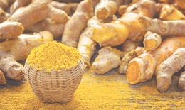 Củ thần thánh cho dạ dày: Nghệ