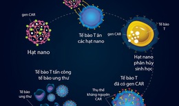 Dùng hạt nano giúp hệ miễn dịch chống ung thư