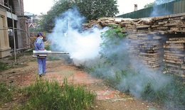 Quyết liệt phòng chống sốt xuất huyết, nhưng không lơ là các dịch bệnh khác