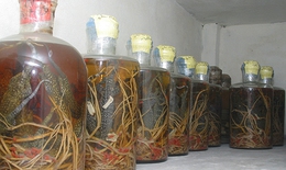 Rượu thuốc trường thọ - Không được dùng bừa