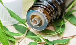 Tinh dầu tràm tốt cho sức khỏe như thế nào?