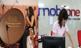 Thanh tra Ch&#237;nh phủ kiến nghị khởi tố điều tra Dự &#225;n Mobifone mua 95% cổ phần AVG