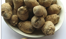 Những phương thuốc trị chứng tiêu chảy hiệu nghiệm