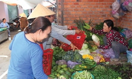Thực phẩm nhiễm Salmonella