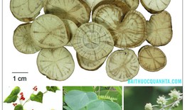 Bài thuốc hỗ trợ trị thừa cân - béo phì