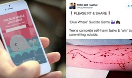 Từ trò chơi cá voi xanh ngẫm về hành vi cực đoan