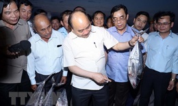 Tạo sinh kế lâu dài cho người dân bị ảnh hưởng sự cố môi trường biển