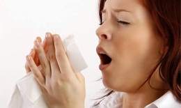Thuốc nào chữa dứt điểm viêm mũi dị ứng?