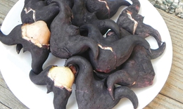 Củ ấu nhiều công dụng