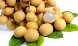Quả nhãn - An thần, bổ khí huyết