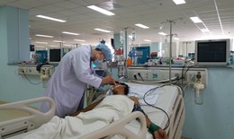 Lại có ngộ độc cá nóc:  Gặp họa vì chủ quan