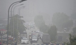 Không khí ô nhiễm gây bệnh thận mạn tính