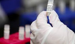 Vắc-xin từ virut Zika chữa u nguyên bào thần kinh đệm
