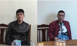 Truy tố nhóm đối tượng chiết xuất ma túy từ thuốc thú y