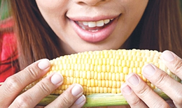 Người cao mỡ máu có thể tẩm bổ?