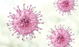 Sự thận trọng cần thiết khi dùng kháng virus acyclovir