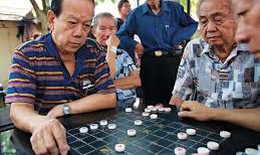 Các hoạt động kích thích trí não ngăn ngừa suy giảm nhận thức
