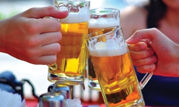 Bệnh gan nhiễm mỡ  khởi phát từ rượu bia