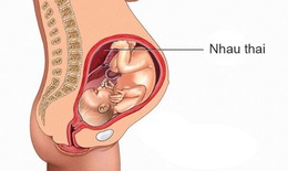 Khám phá bí ẩn từ nhau thai