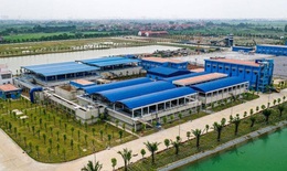 Có lợi ích nhóm ở đây không nhỉ?