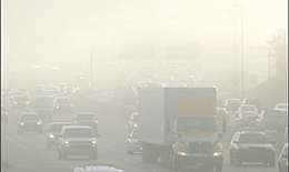 Ô nhiễm không khí gây suy yếu hệ miễn dịch, tàn phá cơ thể