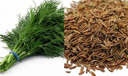 Kinh nghiệm dân gian trị ngộ độc thức ăn
