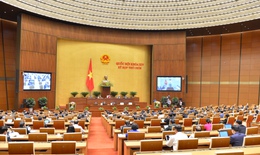 Quốc hội thông qua Nghị quyết phê chuẩn EVIPA